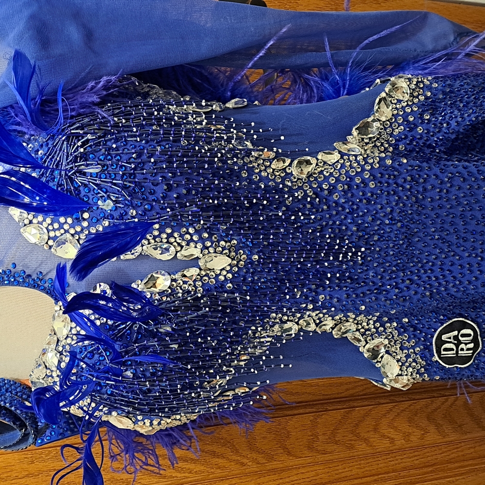 Blue Feather Ballroom Dress